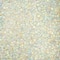 12 Pack: Clear Specialty Glitter by Recollections™